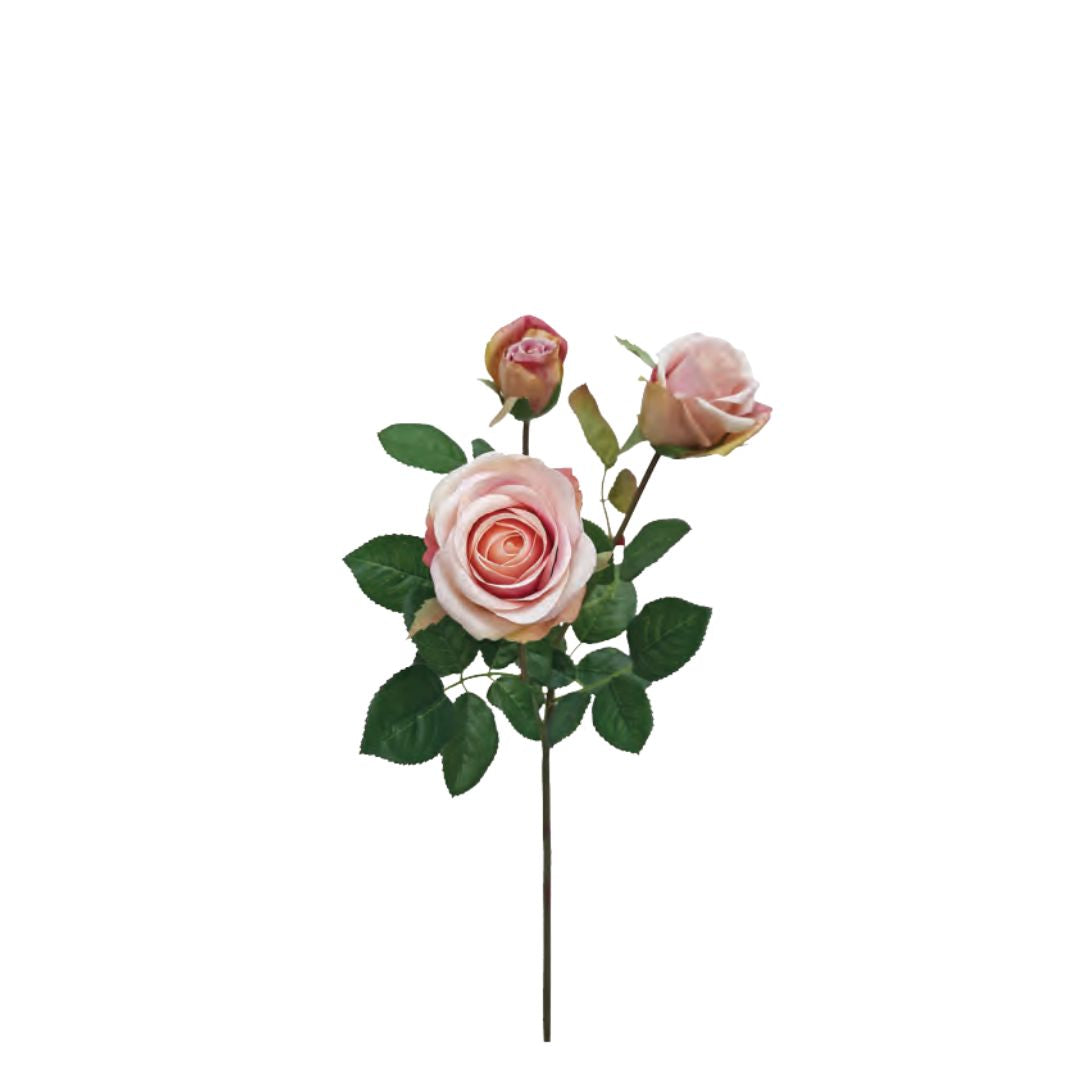 Abbey Rose: Pink