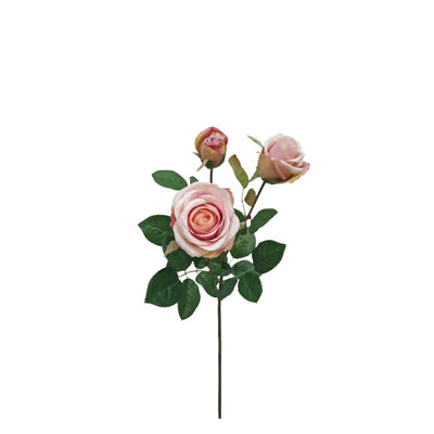 Abbey Rose: Pink