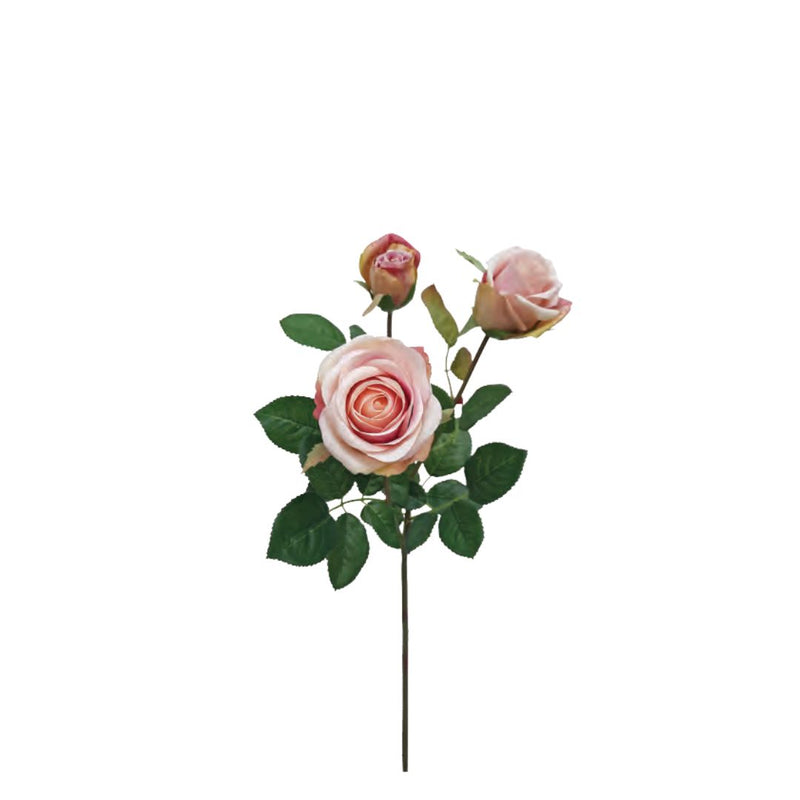 Abbey Rose: Pink