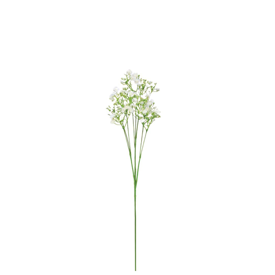 Baby's Breath Spray - Cream