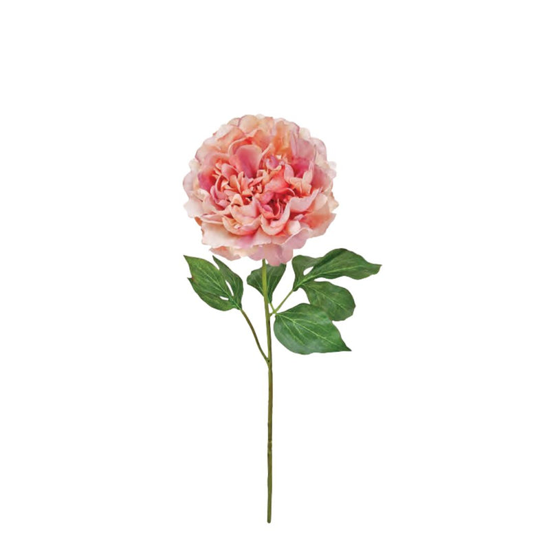 Blooming Peony: Vintage Pink