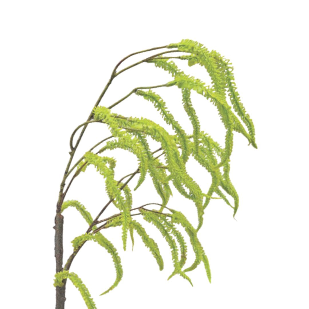 Catkin Branch - Green