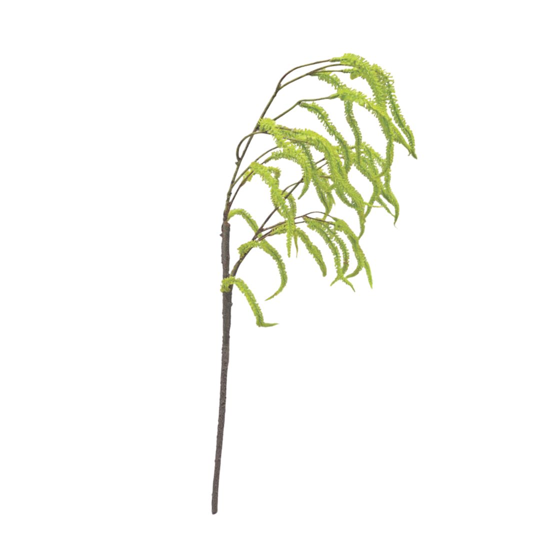 Catkin Branch - Green