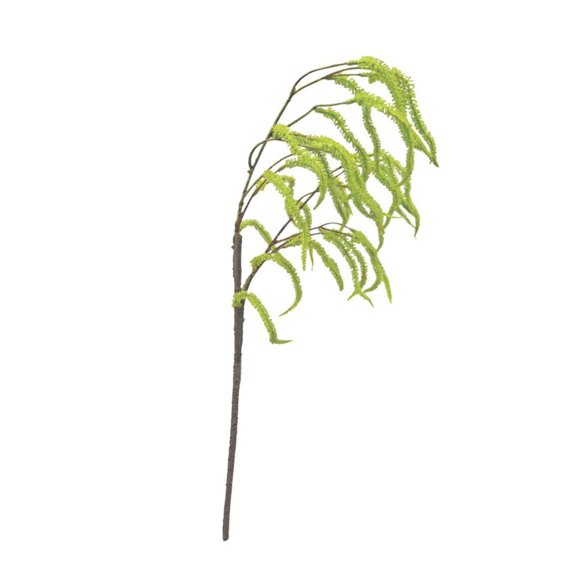 Catkin Branch - Green