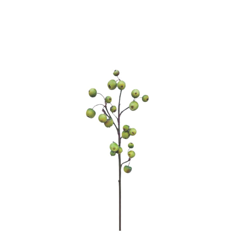 Crabapple Spray - Green