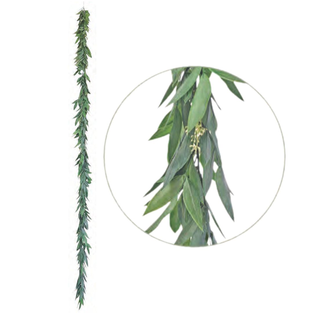 Large Eucalyptus Garland - Green