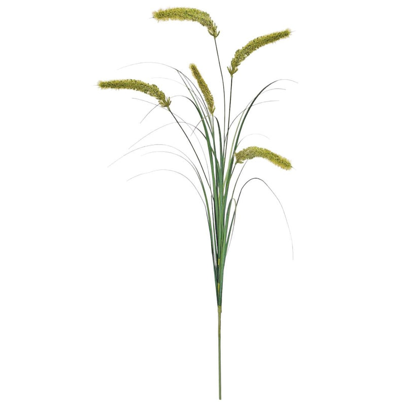 Fountain Grass Cream - 94cm