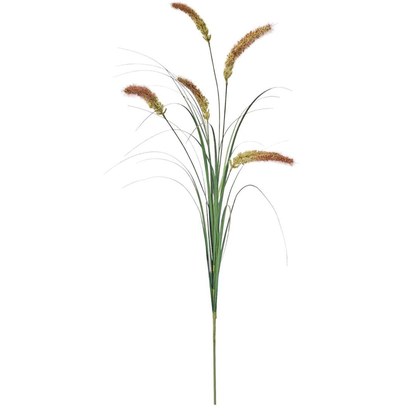 Fountain Grass: Pink - Large
