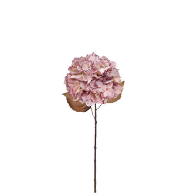 Fall Hydrangea: Antique Pink