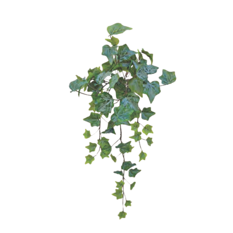 Frosted Ivy Bush: Frosted Green