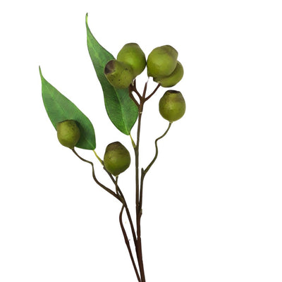 Gumnut Cluster: Green