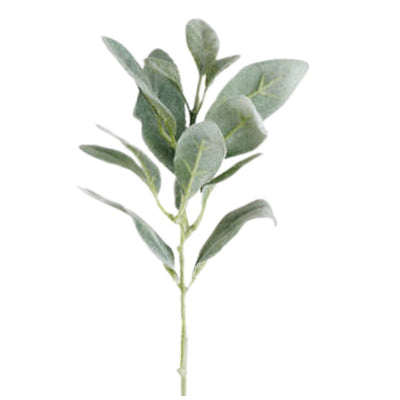 Lambs Ear Short Stem - 38cm