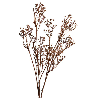 Talinum Spray - 79cm