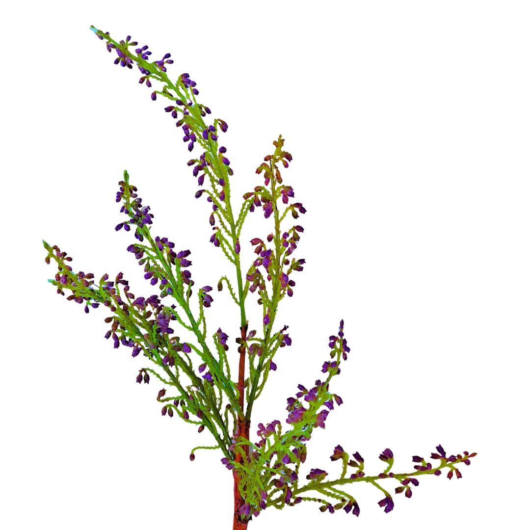 Heather Purple