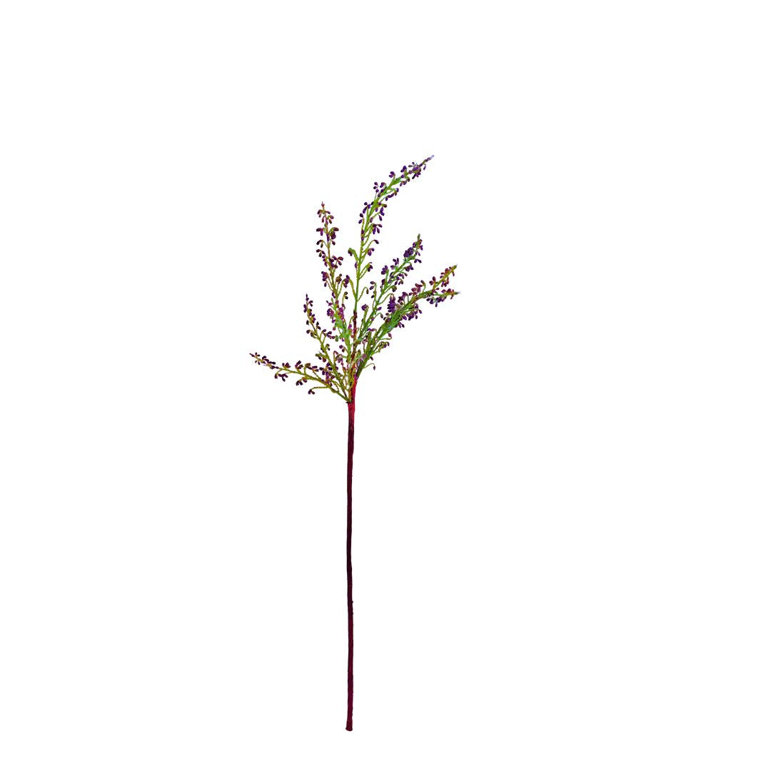 Heather Purple