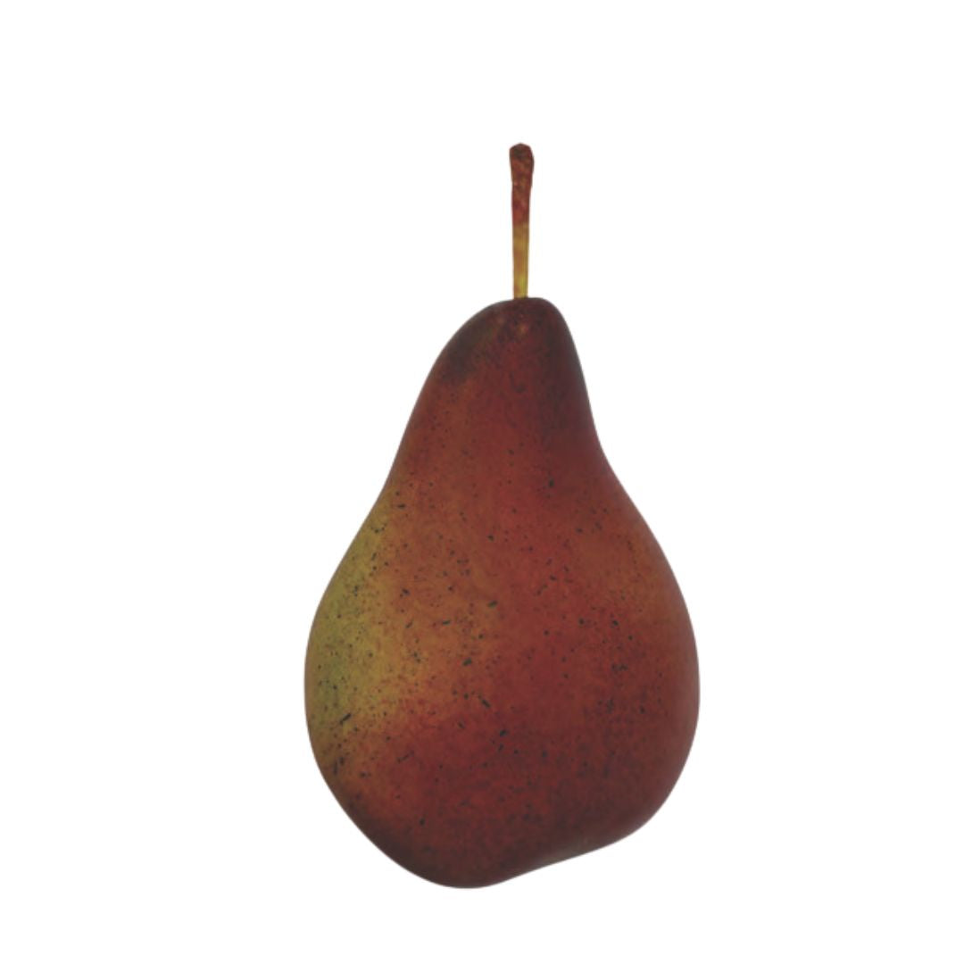 Harvest Pear - Green/Brown