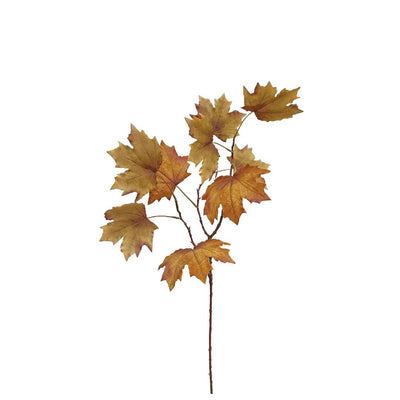 Late Autumn Maple - Rust