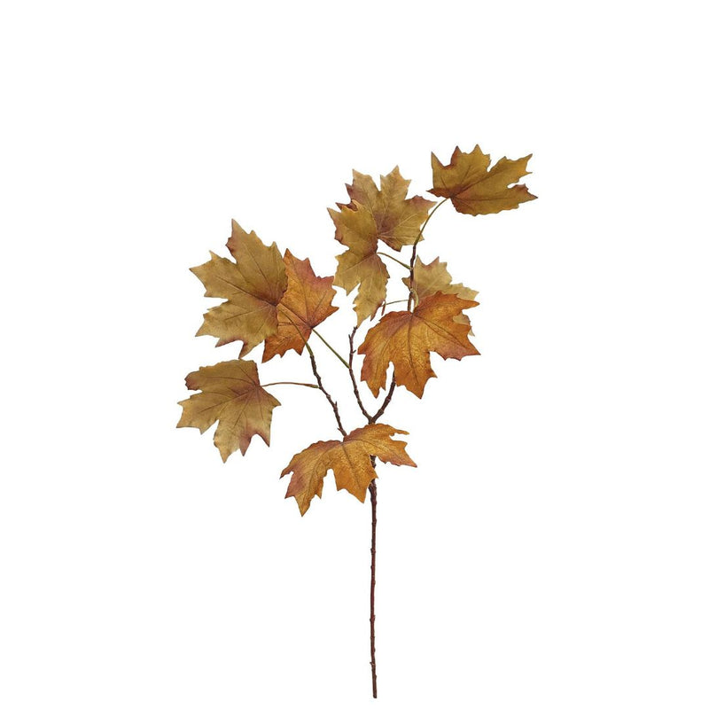 Late Autumn Maple - Rust