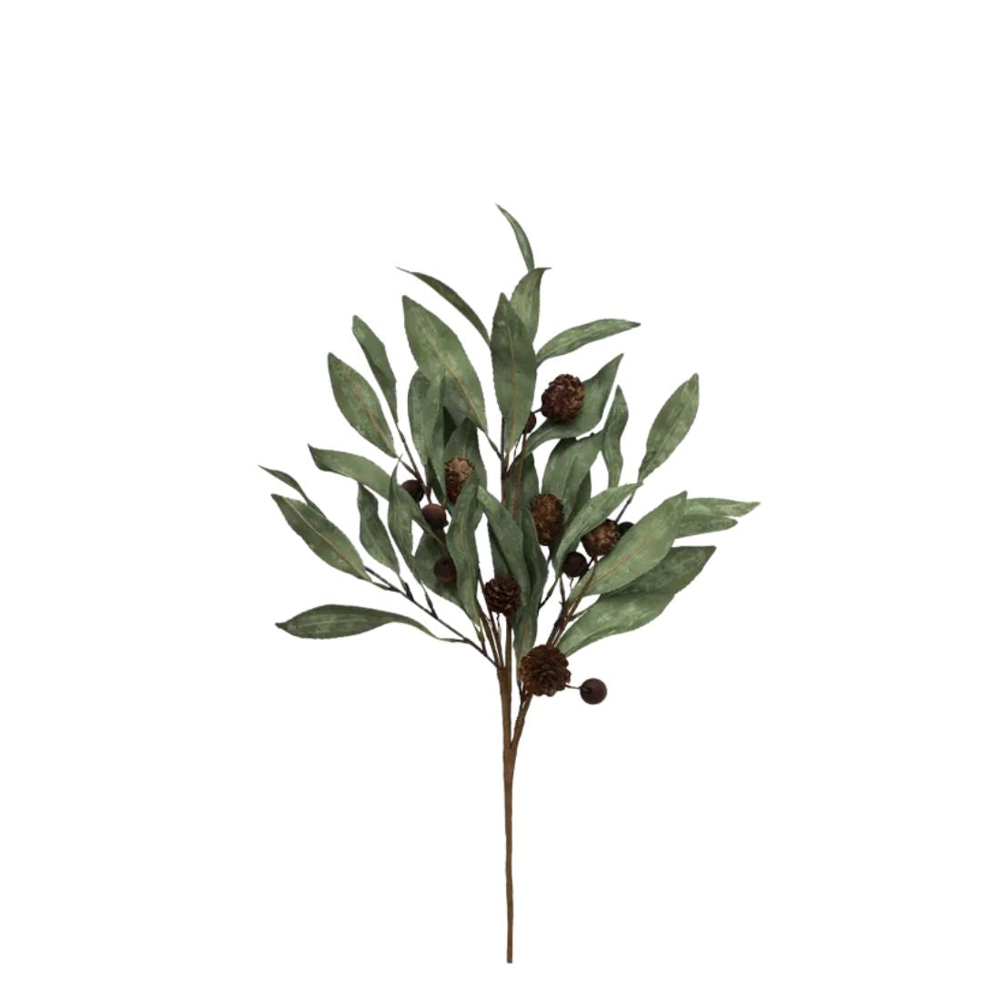 Eucalyptus & Brown Berry Wood Branch