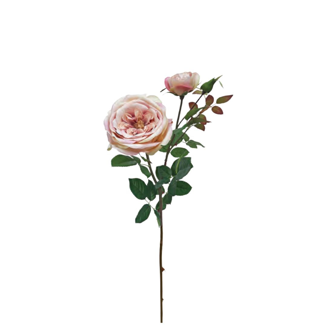Large English Rose - Light Pink