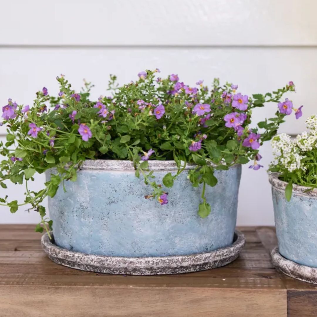 Sea Blue Wide Plant Pot & Saucer - Large