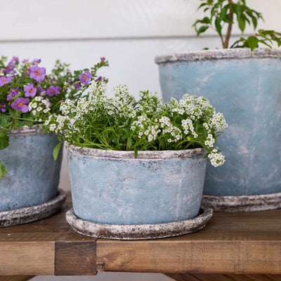 Sea Blue Wide Plant Pot & Saucer - Small