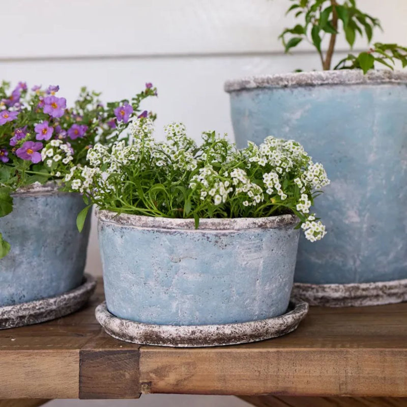 Sea Blue Wide Plant Pot & Saucer - Small