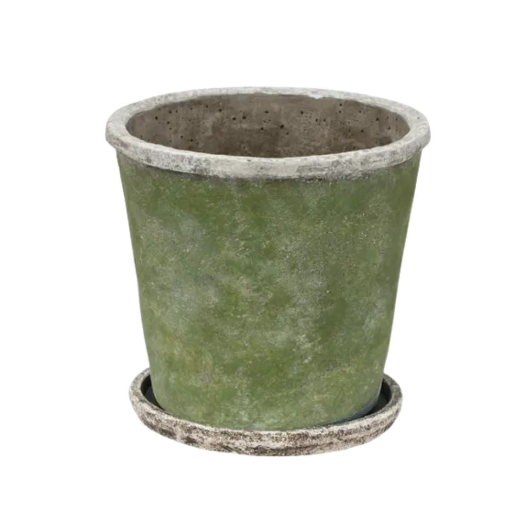 Evergreen Plant Pot & Saucer - Large