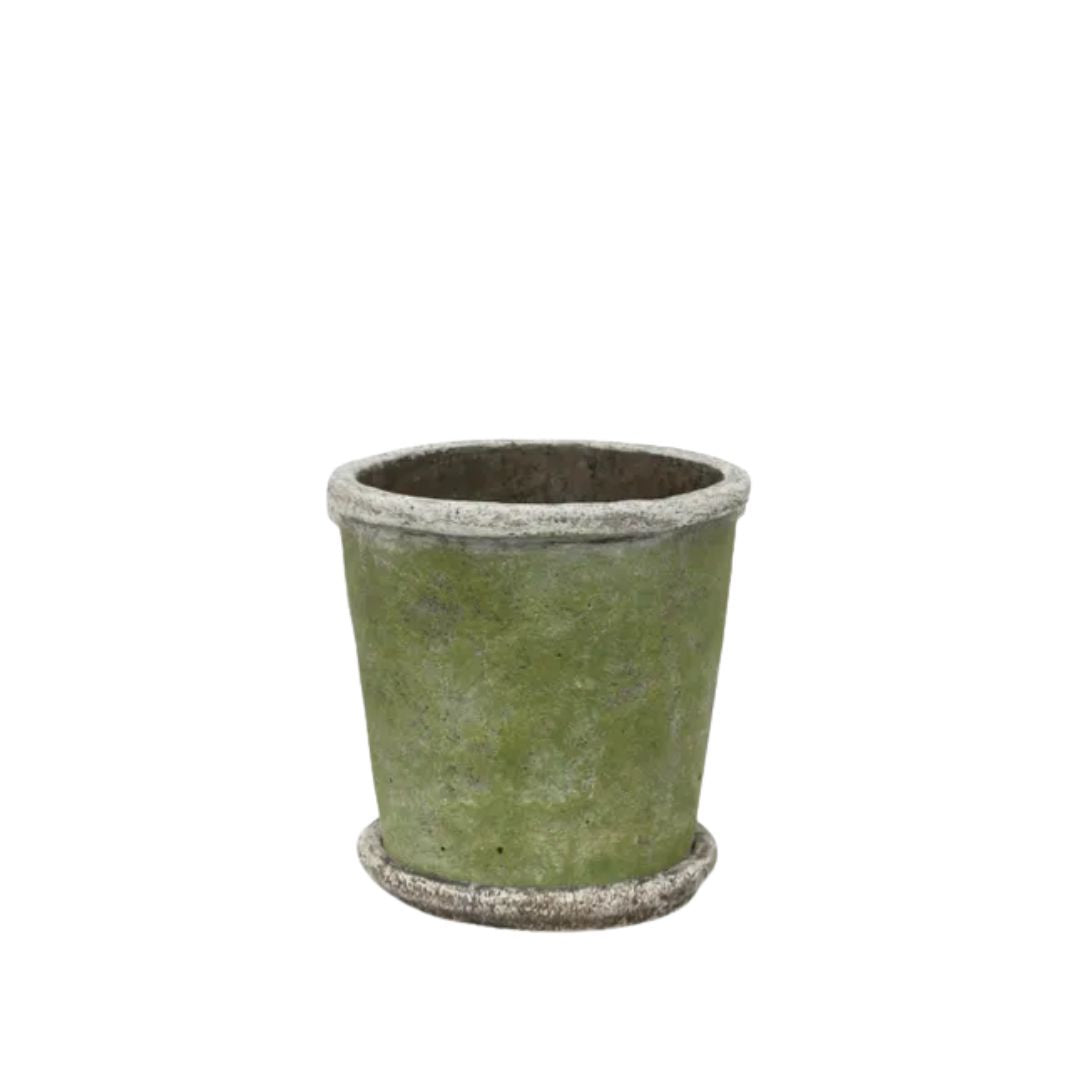 Evergreen Plant Pot & Saucer - Small