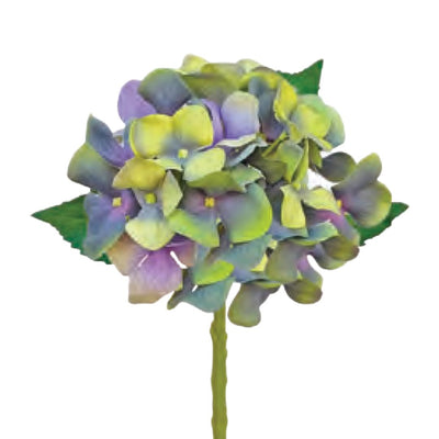 Water Stem Hydrangea: Green/Blue - Medium