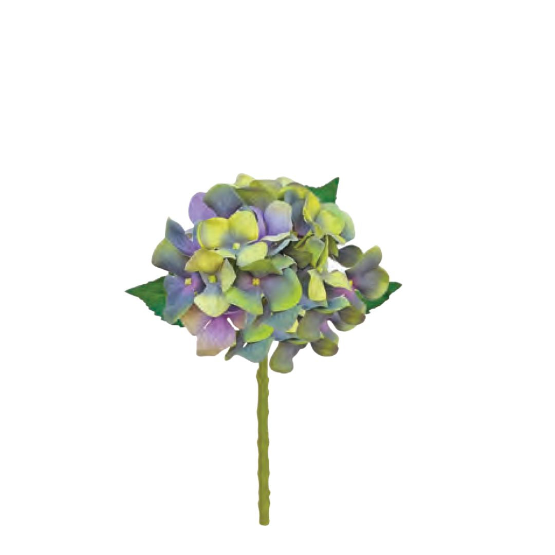 Water Stem Hydrangea: Green/Blue - Medium