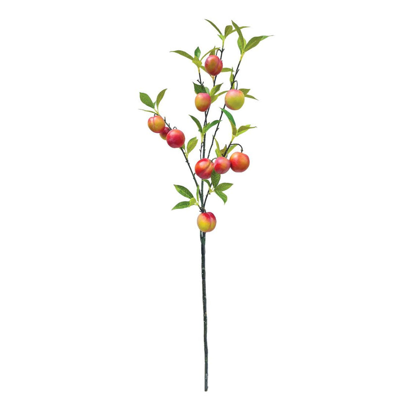 Nectarine Branch - Red/Green