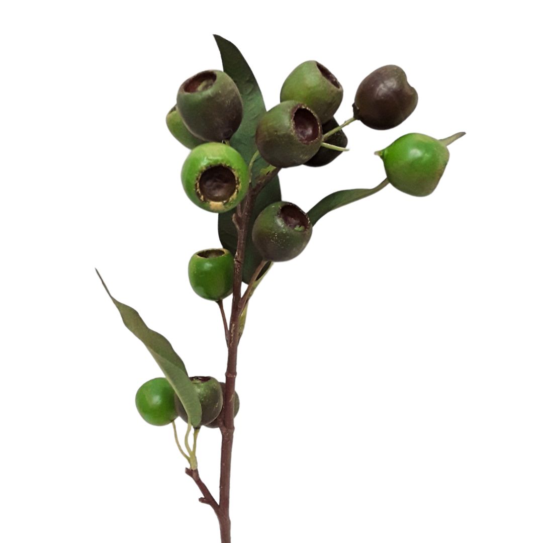 Medium Native Gum Nut: Green