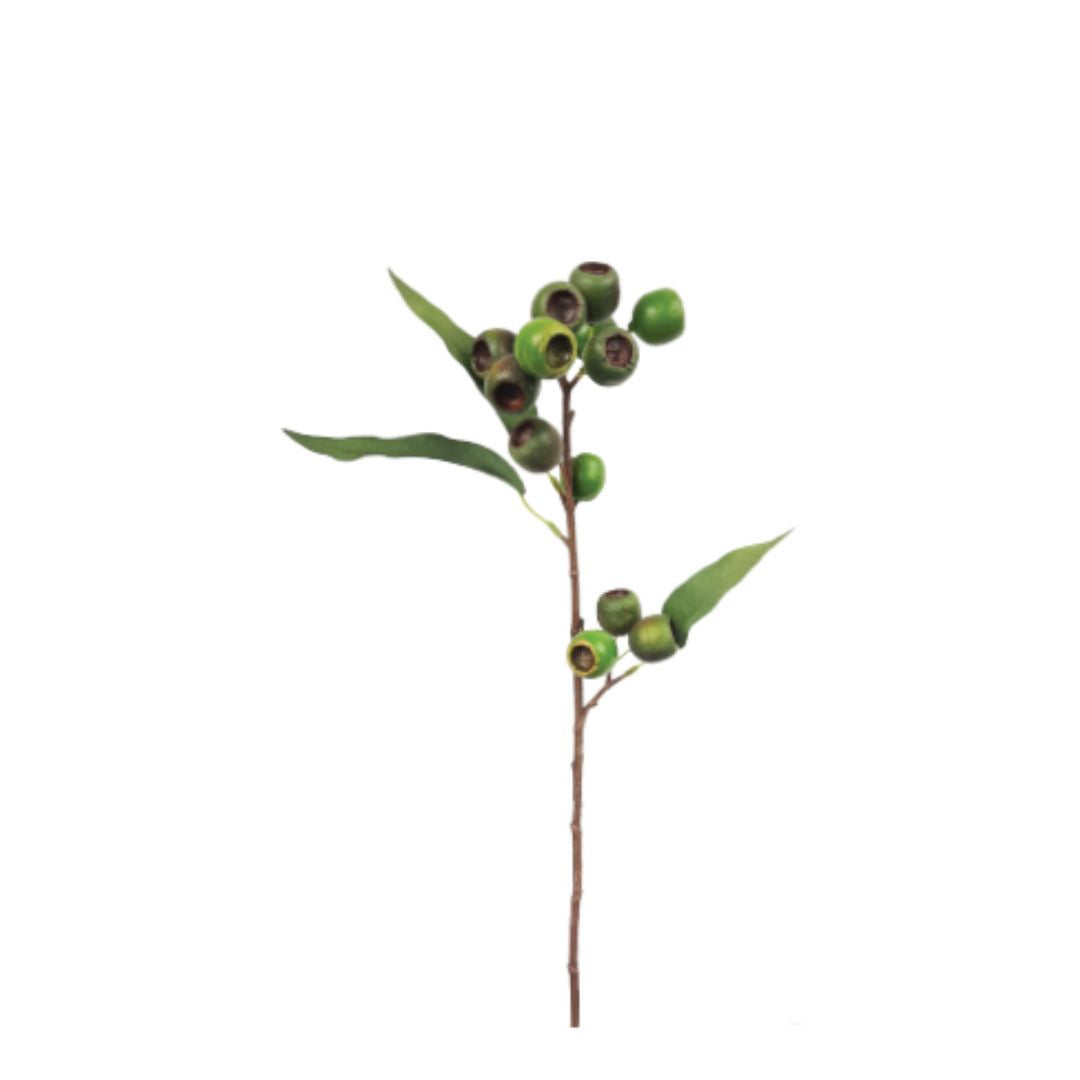 Medium Native Gum Nut: Green