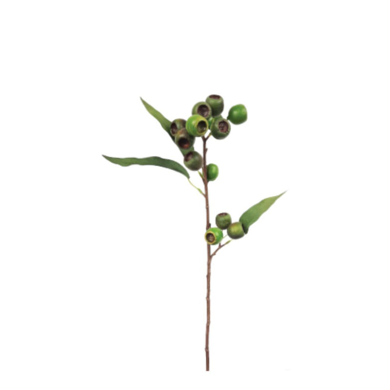 Medium Native Gum Nut: Green