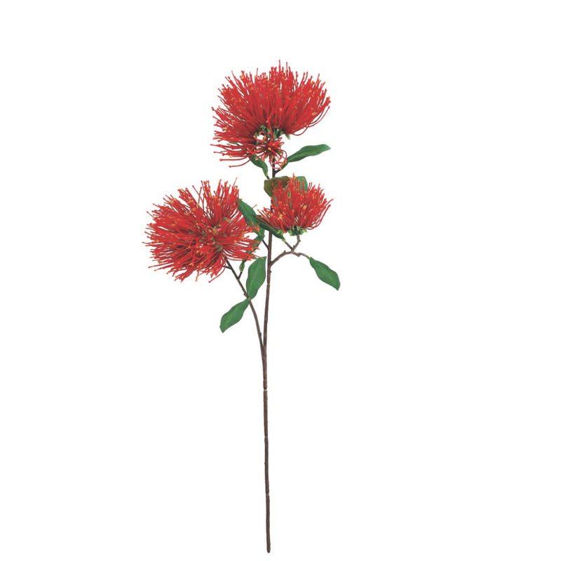 Pohutukawa Branch with 3 Flowers - Red