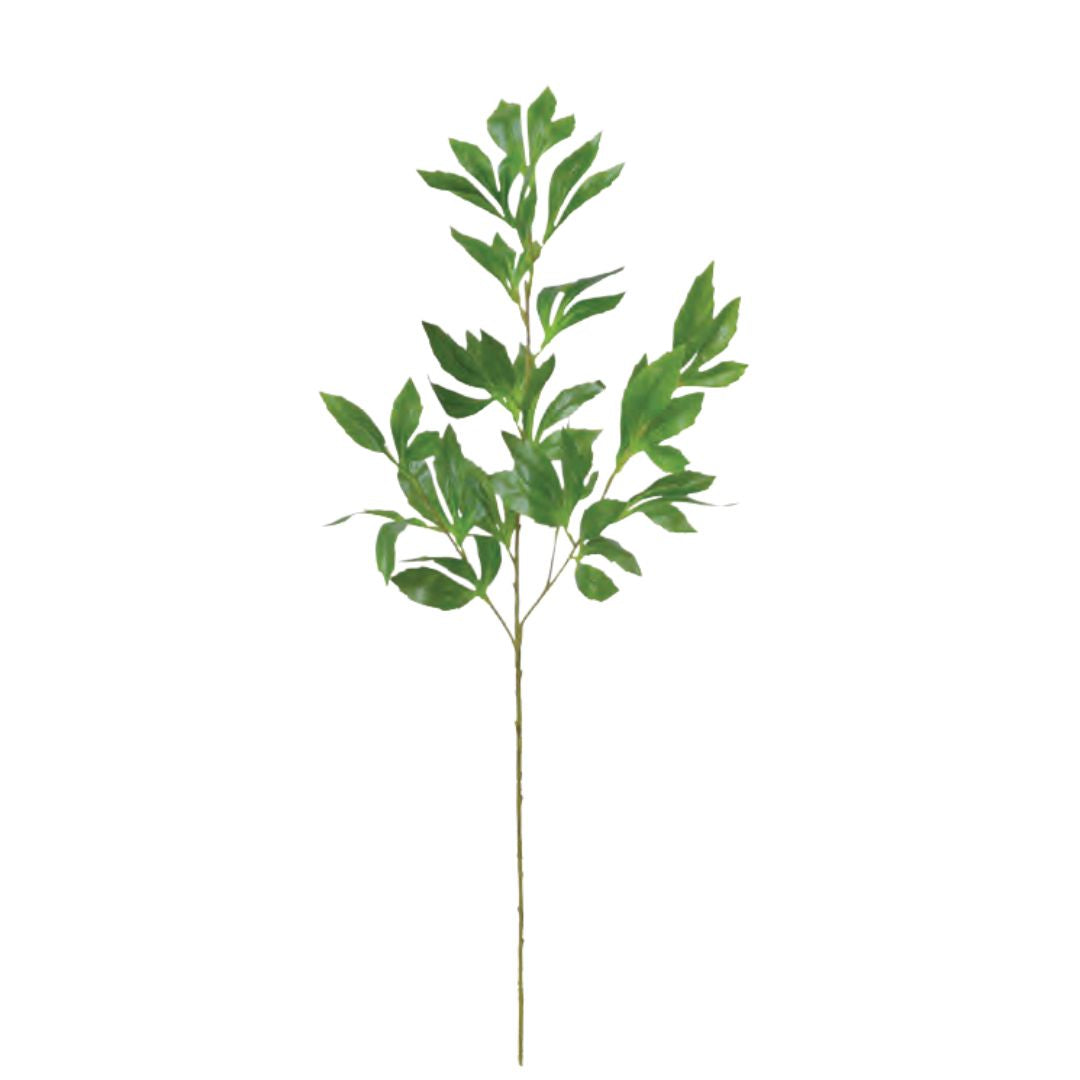 Peony Foliage: Green