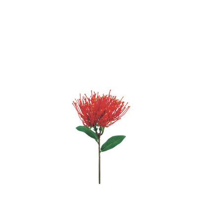 Pohutukawa Spray: Red - Mini