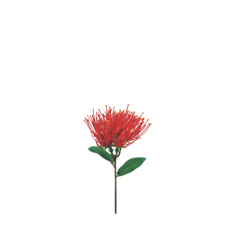 Pohutukawa Spray: Red - Mini