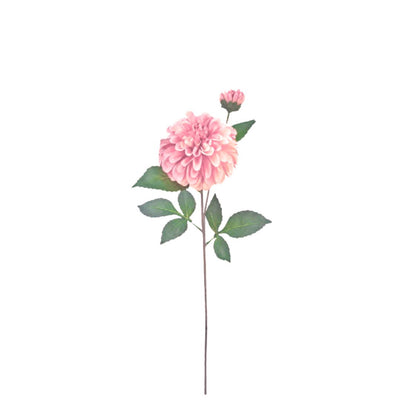 Pom Pom Dahlia: Pink