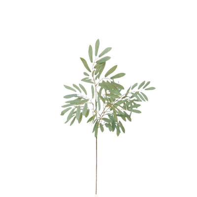 Ruscus Leaf: Grey