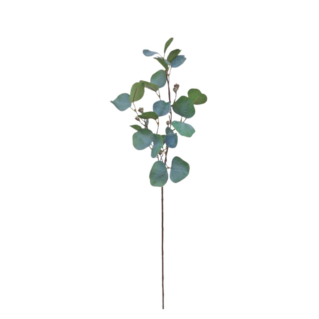 Silver Dollar Spray - Grey Green