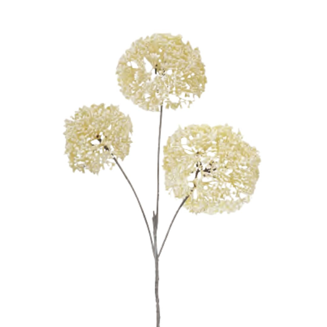 Sedum Spray: Cream
