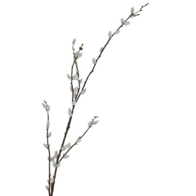 Pussy Willow Branch - 1.16m
