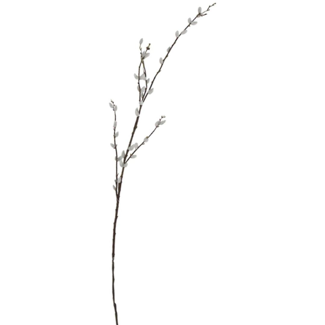 Pussy Willow Branch - 1.16m