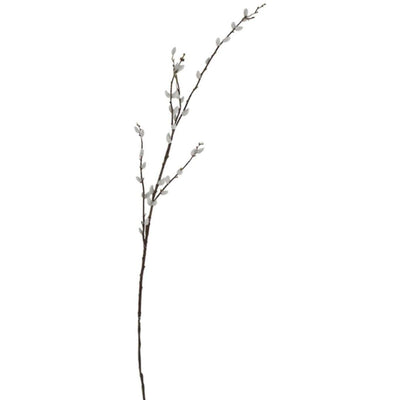 Pussy Willow Branch - 1.16m