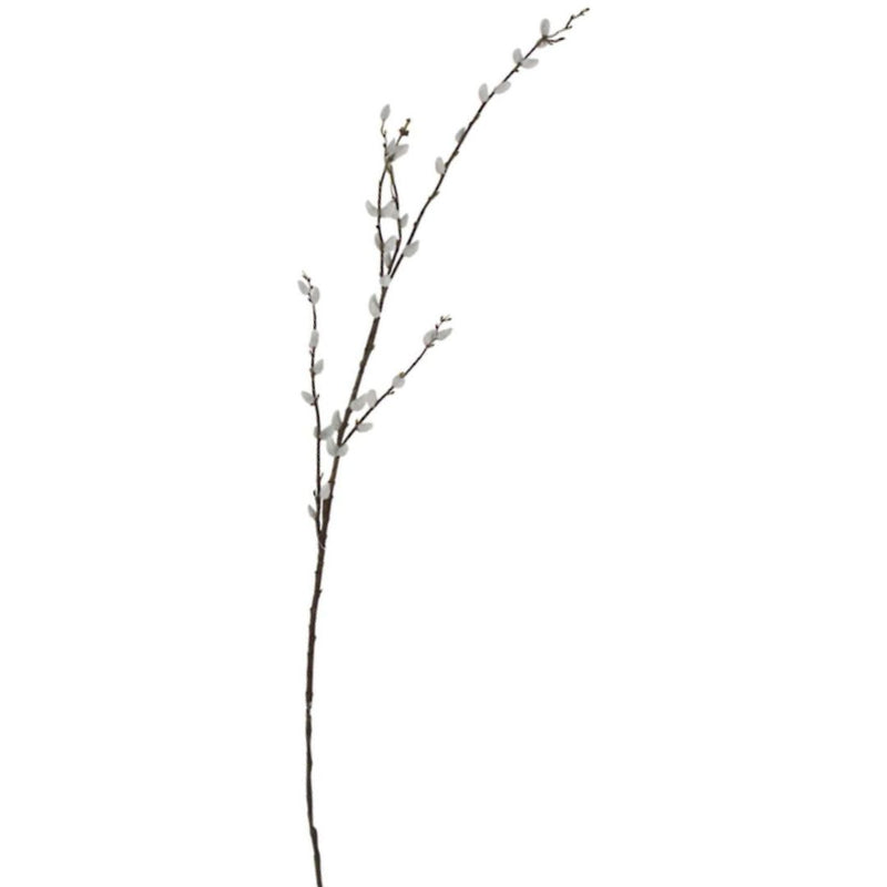 Pussy Willow Branch - 1.16m