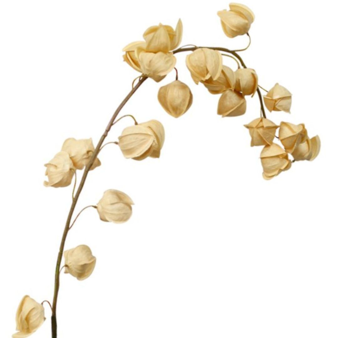 Chinese Lantern: Mustard - Long