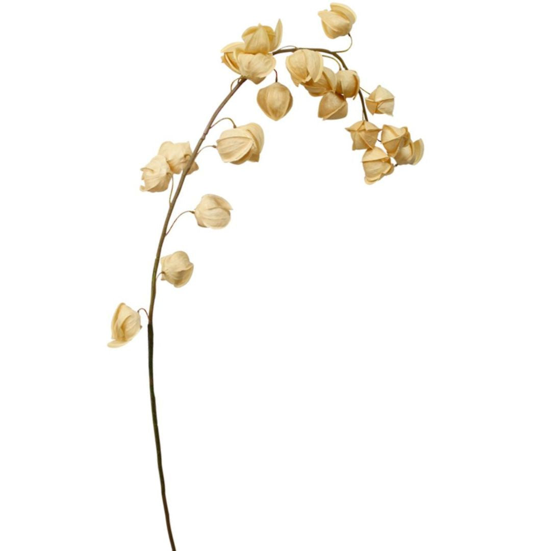 Chinese Lantern: Mustard - Long