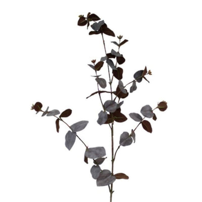 Large Eucalyptus Spray: Brown - 86cm